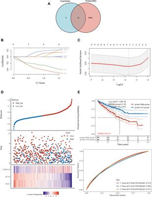 Cuproptosis-related gene FDX1 as a prognostic biomarker for kidney renal clear cell carcinoma correlates with immune checkpoints and immune cell infiltration